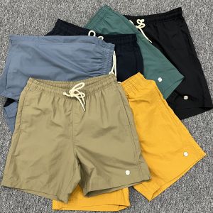 Tail Single Japanese Style Functional Shorts Mens Summer Thin Quick-Drying Breathable Beach Pants Waterproof Loose Mens Fifth Pants