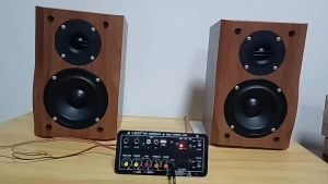 (BIG SALE) Subwoofer Amplifier Board with Bluetooth 12V 24V 220V Car Audio Amplifiers for 8-12 Inch Speakers