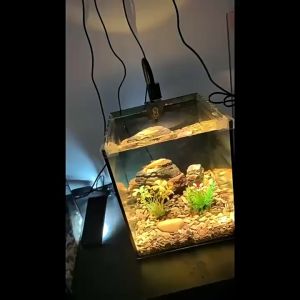Fish Tank Spotlight South American Aquarium Waterproof Lamp Head Adjustable Zoom Lighting Led Lamp with Holder&Switch
