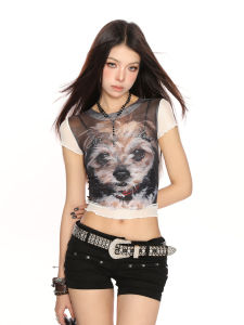 Áo Thun Tay Ngắn Biggold Sweet Và Spicy Dog Print Cho Nữ Mùa Hè Áo Lưới Ôm Vừa Vặn Áo Ngắn Áo Thun Cotton Thường Ngày