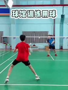 Victor | Golden Colored Competition Badminton 12 Pieces
