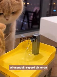 FOCAT Tempat Minum Otomatis / Keran Air Otomatis Kucing + Filter Air M71 Automatic Pet Water Feeder