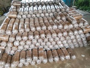 Bibit/Baglog Jamur Tiram Putih ( f-3) 100% siap panen