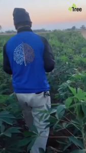 4Tree โฟร์ทรี จำนวน 1 ซอง สารเสริมประสิทธิภาพ โฟรทีร ของแท้ สูตรอิออน พืชโตเร็ว แข็งแรง ทนแล้ง