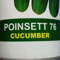 Poinsett 76 (100 grams) Cucumber Seeds / Pipino Seeds by Condor. 