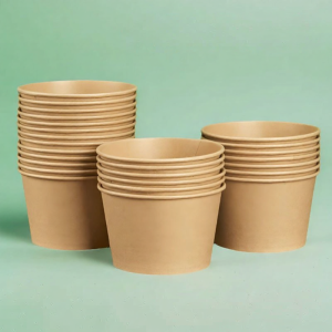 PAITUO | Disposable Food-grade Bowls
