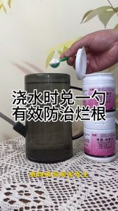 仙葩恶霉灵 噁霉灵 Etridiazole Soil Conditioning Root Diseases Soil Treatment 土壤消毒 土壤杀菌剂  Penyakit Akar Kawalan Kulat