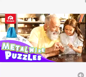 Loveni Metal Montessori Puzzle Wire IQ Mind Brain Teaser Puzzles for Children Adults Stress Reliever