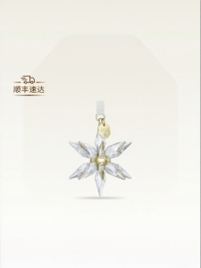 Swarovski | Valentines Gift Star Ornament