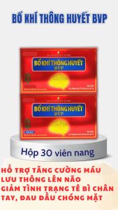 Bổ Khí thông Huyết BVP - Tăng Cường Lưu Thông Máu - Giảm Tê Tay Chân - Đau Đầu Chóng Mặt Hộp 30 viên