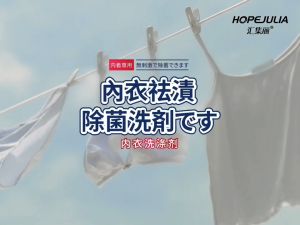 HOPEJULIA Underwear & Bra 99% Antibacterial Liquid Detergent 500ml
