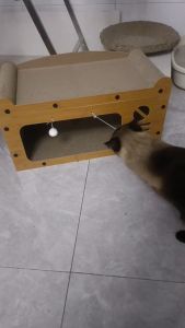 บ้านแมว ที่ลับเล็บแมว อเนกประสงค์ เตียงแมวสามารถรองรับแมวได้ คอนโดแมว ที่ลับเล็บแมว บ้านลับเล็บแมว ของใช้แมว กล่องแมว ของเล่นแมว แมว