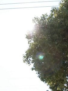 Pelindung Matahari 2pcs Sun Shade Tabir Surya Jendela Mobil Magnet Uv 97%