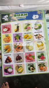 Poster Dinding Belajar Edukasi Anak Duplex Tebal Huruf Abjad Angka Hewan Buah