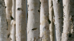 .SOLUTION Skin Care RELBE BEAUTY (Toner Repair Cream Spot Treatment Cleansing Foam Toner Pad)