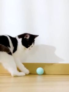 UniQ.Shop Cat Toy Smart Rotating Ball | Interactive Ball Electric Automatic Rolling Kitten Indoor Playing USB Charge Pet