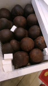 OXO Coconut Shell Vietnam Natural Coconut Wooden Handle Spoon Fork Set Spoon Wooden Spoon Unpainted Bowl Wholesale