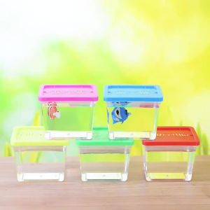 Betta Fish Tank Transparent Aquarium Incubator Fish Breeding Hatching  Plastic Breeding Isolation Tortoise  For Kids