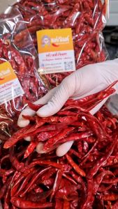 เผ็ดหูดับทุกเม็ด พริกแห้งจินดา เด็ดก้าน (คัดพิเศษ) ราคาพิเศษ 100 บรรเทา