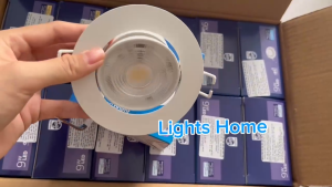 Đèn LED âm trần chiếu điểm PHILIPS SL190