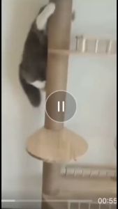 ⭐SINGLE CEILING CONDO⭐Cat Condo Scratching Pole Sisal Rope Scratch Post Capsule Platform Solid Wood Cat House Ceiling Pole Tall