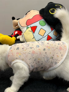 Cute Cartoon Dog Vest Cat Clothes Spring Autumn Lightweight Breathable Furless Pet Supplies Cat Clothing Raincoat