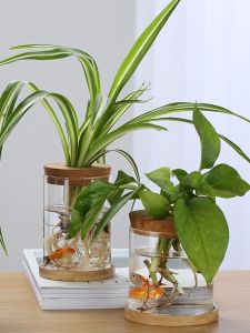 European Style Glass Flower Vase Transparent Hydroponic Plant Living Room Decoration Ornaments Office Desk Flower Pot Plant Container