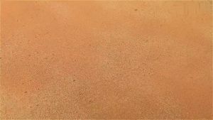 Spin Mop and Bucket System Includes Dual Compartment Mop Bucket with Thick Washable Microfiber Pads for Home Cleaning (Mop Set with 3 Pads)