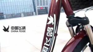 Adult Elderly Tricycle Elderly Pedal Tricycle Bicycle Adult Old Variable Speed Pedal Dual-Purpose Bicycle