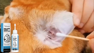 120ml น้ำยาเช็ดหู ยาหยอดไรหูแมว น้ำยาล้างหูหมา ล้างหูสุนัข แมว กระต่ายและสัตว์เลี้ยง ลดกลิ่นเหม็น ป้องกันการอักเสบ ฆ่าเชื้อ กำจัดไรหู