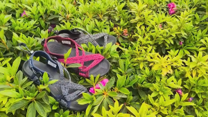 GRITION Dép Gấu Lười Jelly Giá Rẻ Chống Trượt Trang Chủ Dép nữ Women’s Yoga Sport Hiking Sandal