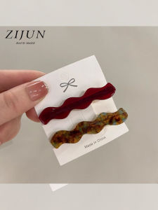 2-Pack Geometric Acetate Hair Clips Side Bun Duckbill Hair Accessories Bangs Holders Korean Style Fashionable Hair Grips