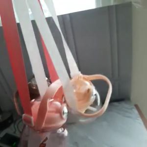 Botol Minum Anak Sekolah Lucu & Ramah Lingkungan