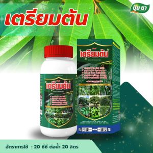 เตรียมต้น สะสมอาหาร คีเลต ก่อนราดสาร ใบหนา ใบเขียวเข้ม ต้นพร้อมออกดอก อะมิโน ปุ๋ยยา หลายขนาด