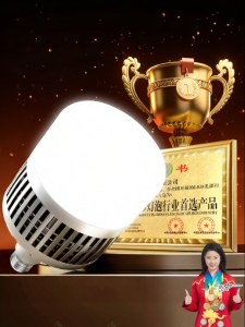SUIYI | High Power Bright LED Light Bulb E27 100W
