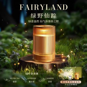 Christmas Gift Aromatherapy Candle Wax Melter Lamp Night Light Bedroom Sleep Aid High-End Gift Box Womens Birthday Gift