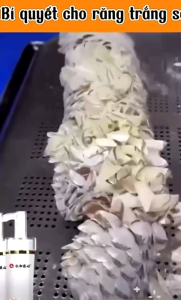 Kem Đánh Răng Jingxiu - Bảo về răng  New 2024 Trắng Răng Nam Nữ