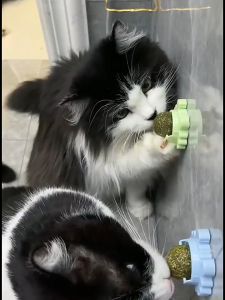 Crab Catnip Alpukat Catnip Balls Makanan Hewan Berputar