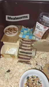 Hamsters Snack Small Pet Hamsters Food Natural Hamsters Assorted Vegetable Food Mix Snack (450ml)