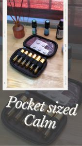 Storage Solutions Ph ESTHER Essential Oil (EO)Travel Carrying Case