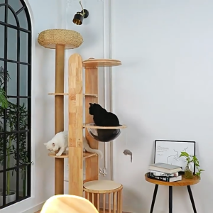 Cat House Cat Bed Cat Climbing Frame Cat Scratching Post Cat Shelf Space Capsule Does Not Occupy A Minimalist Large Cat Scratching Board Large Cat Nest Integrated Cat Tree Solid Wood Cat Climbing Frame