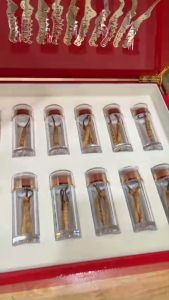 Đông trùng Tây Tạng hộp 8g size 3 nguyên con tuyển chọn Hộp gỗ sơn mài màu đỏ Quà tết 2024