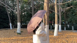 Fully Automatic Umbrella For Both Rain And Light Reinforced And Sturdy Folding Sunshade Sun Protection And Uv Protection Black Rubber Sun Umbrella