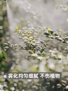 Portable Electric Sprayer Cordless Sprayer 2L Gardening Portable Watering Flower Garden Tool