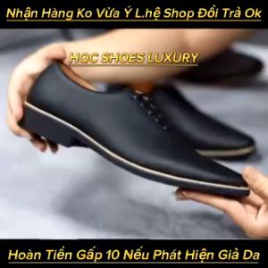 Giày tây nam HQC SHOES công sở chất liệu da bò nguyên tấm phong cách lịch lãm bảo hành 1 năm HQ886