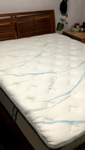 (FurnitureSG) Spinal Luxury 13" Coolmax Fabric Cover Individually Pocketed Spring Mattress