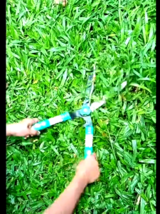 GUNTING RUMPUT BESAR SUPER TAJAM POTONG RUMPUT GAGANG FIBER HIJAU