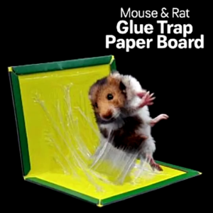 VT35 EXTRA GLUE !!! Super Sticky Glue Mice Traps Board Mouse Rat Bugs Safe Trapper Rodent Rat Bugs / pelekat tikus