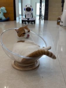 Non-Shedding Corrugated Cardboard Cat Scratching Board Cat Nest Integrated Claw Grinding Board Cat Toy Luxury Cat Chair