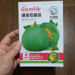 Hạt giống dưa lê xanh ngọc lục bảo Đài Loan siêu giòn ngọt hạt giống dưa lê nhập khẩu -shop Yến Liên Beauty